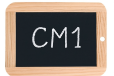 cm1